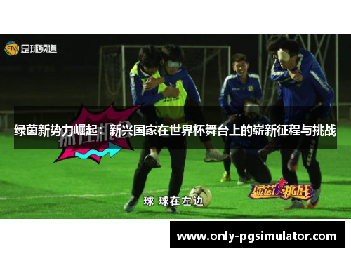 绿茵新势力崛起：新兴国家在世界杯舞台上的崭新征程与挑战